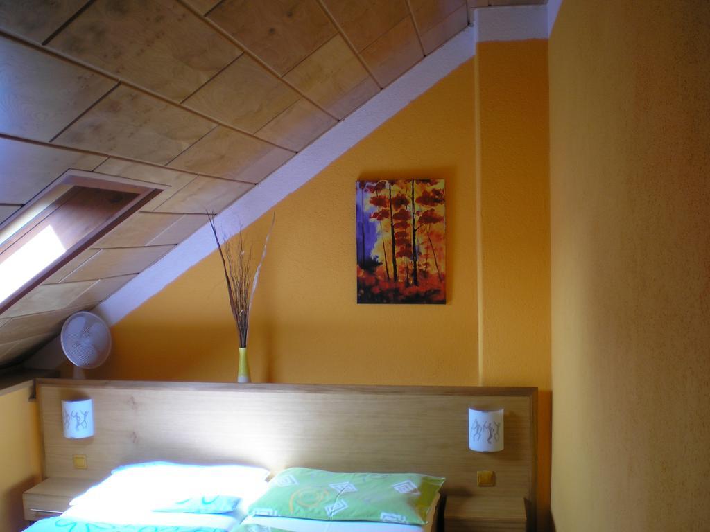 Pension Duel Usti nad Labem Luaran gambar